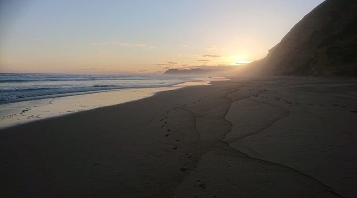 Whale Tails Beach Villa