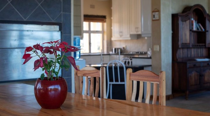Whale Tails Beach Villa