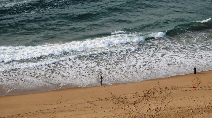 Bush Beach 1902 Amanzi