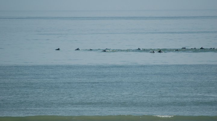 Strandhytten