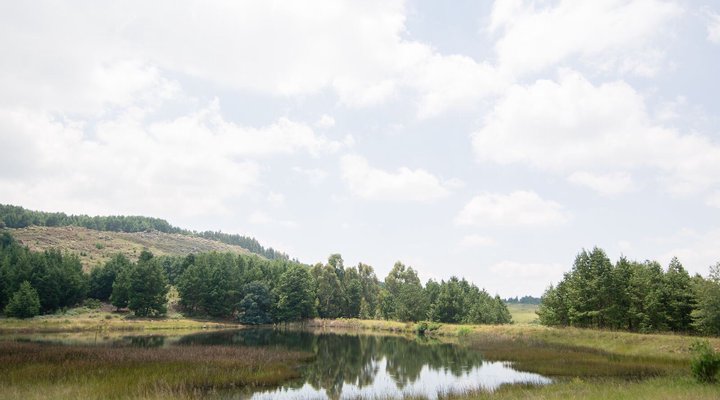 Forest Dawn Lodge