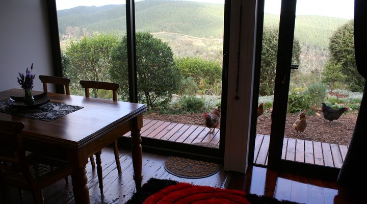 The Sanctuary Bush Retreat