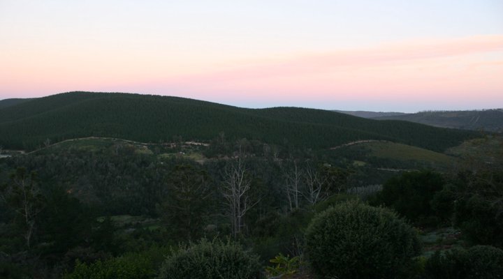 The Sanctuary Bush Retreat