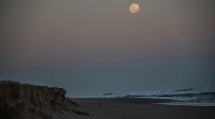 Sensayuma Backpackers