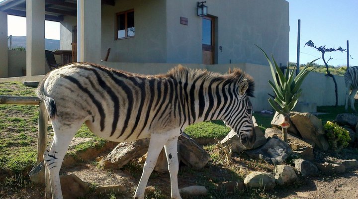 Amathunzi Private Nature Reserve