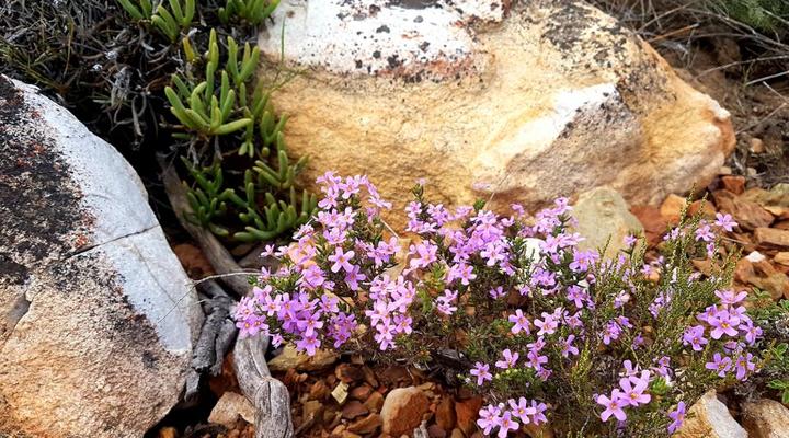 Kleindoorn Guest House