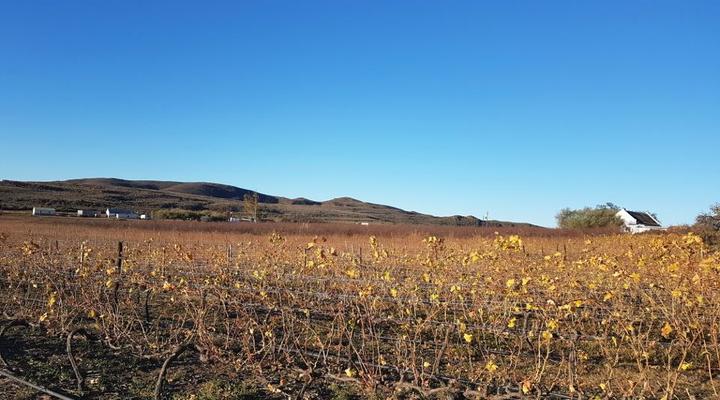 Kleindoorn Guest House