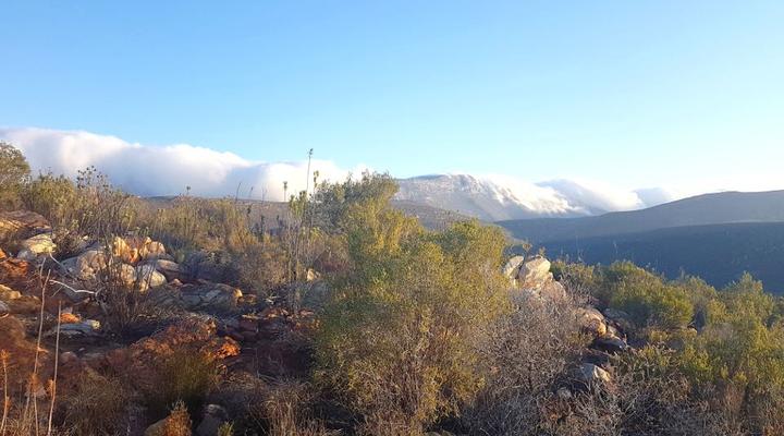 Kleindoorn Guest House