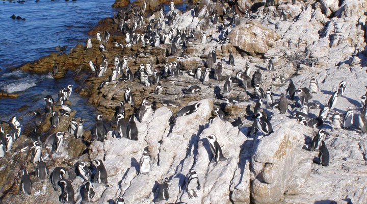 Blinkwater Holiday Flat