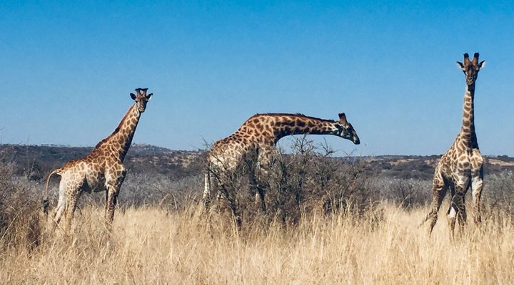 Weenen Country Cottage