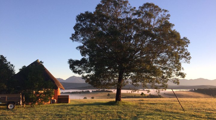 Blomberg Guest Farm