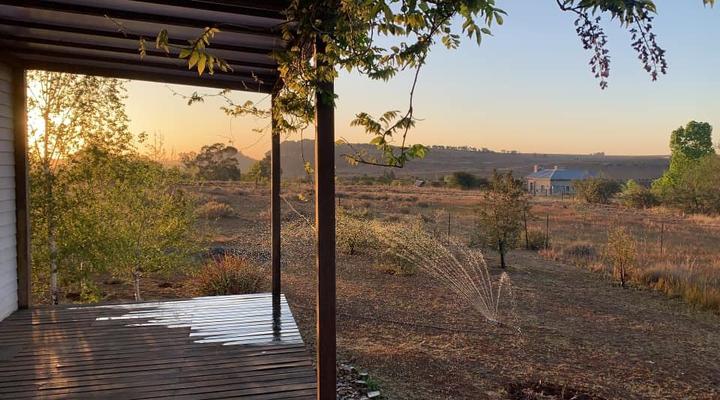 Williams guest house 