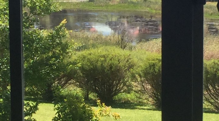 Overdale Guest House