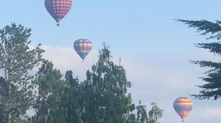 Overdale Guest House