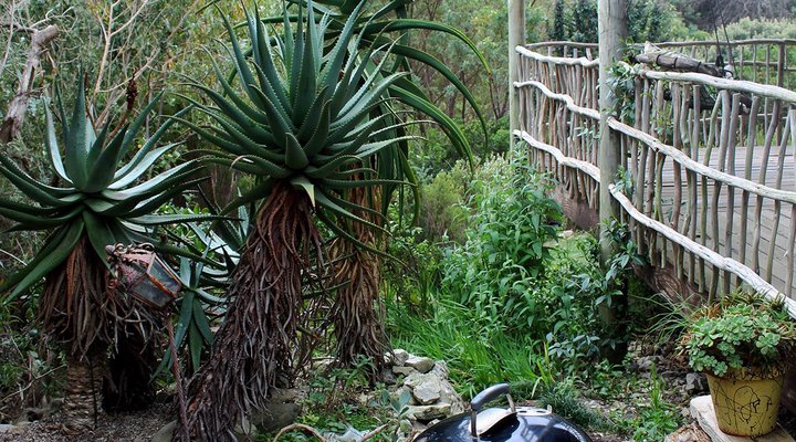 The Nightjar Self-Catering Home