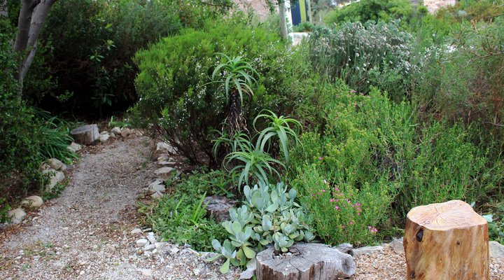 The Nightjar Self-Catering Home