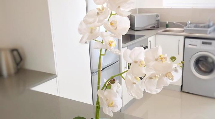 Portswood Mews 14 by CTHA