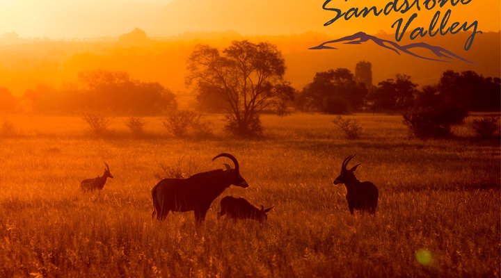 Sandstone Valley