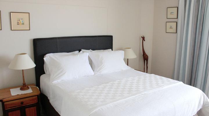 Nautilus Shells Muizenberg Beach