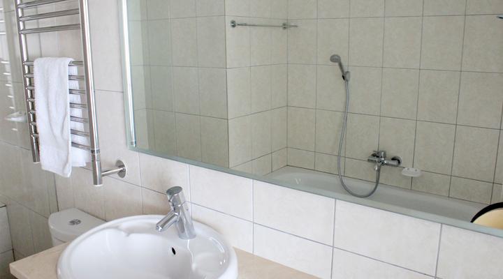 Nautilus Shells Muizenberg Beach