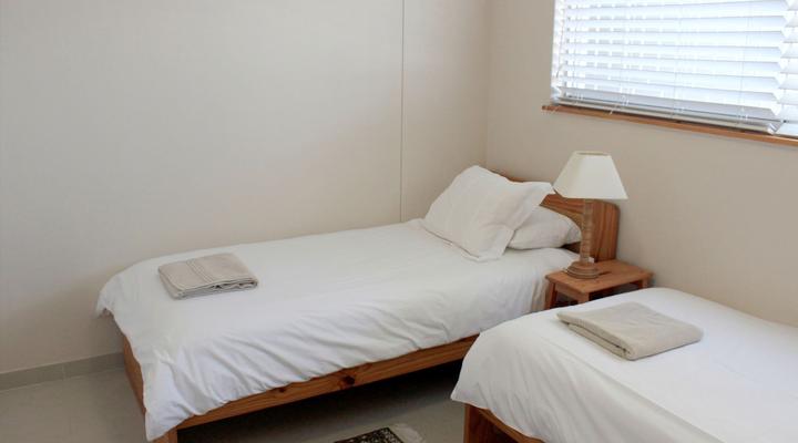 Nautilus Shells Muizenberg Beach