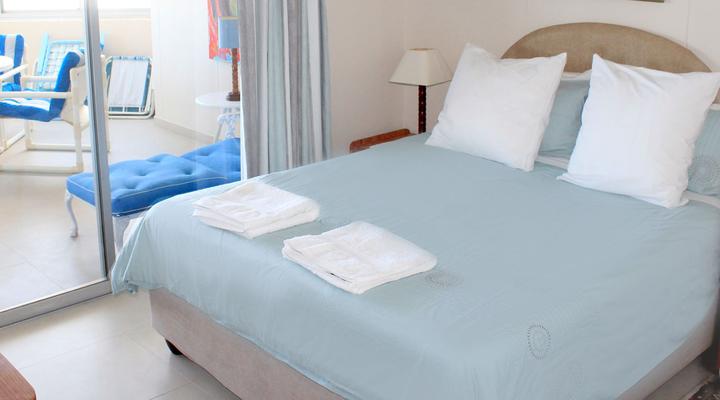 Nautilus Shells Muizenberg Beach