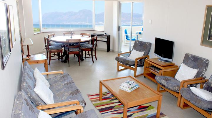 Nautilus Shells Muizenberg Beach