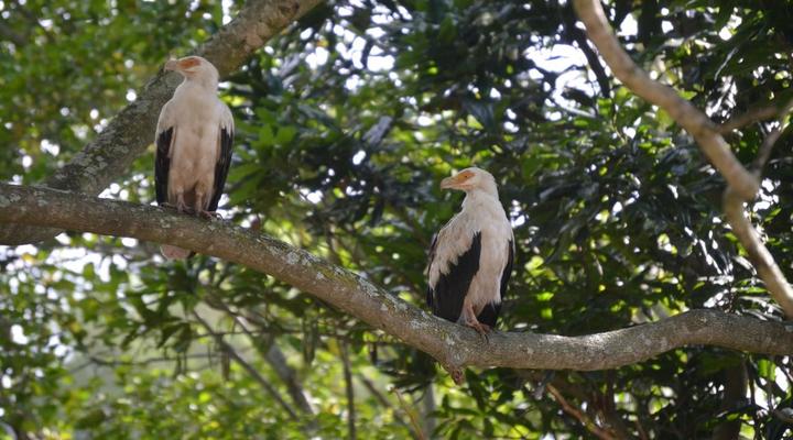 Riverview Self-Catering Guesthouse