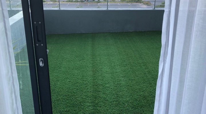 Key West - Driftwood