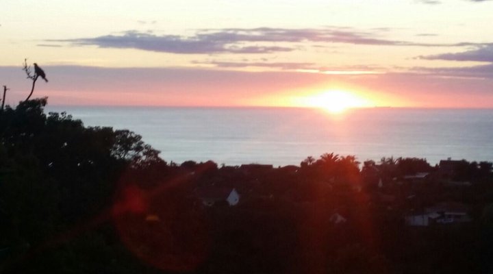 Rocky Pool Guest Cottage