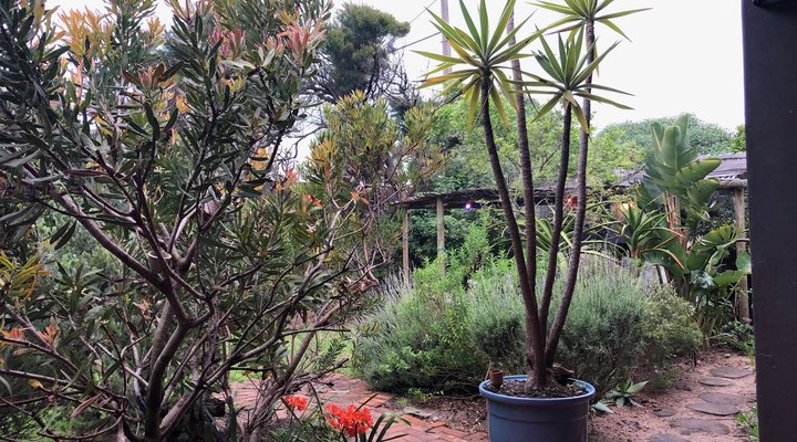 Muizenberg Farmhouse-Style Holiday House