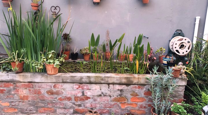 Muizenberg Farmhouse-Style Holiday House