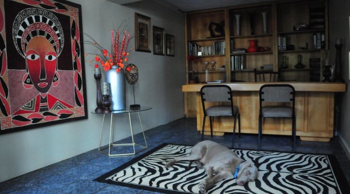 Purple Zebra Guest House