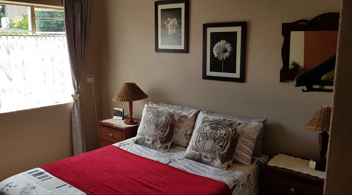 Wild Catz Cottage Piet Retief