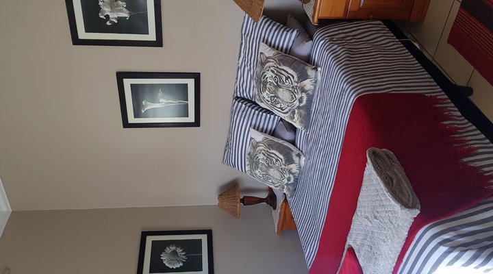 Wild Catz Cottage Piet Retief