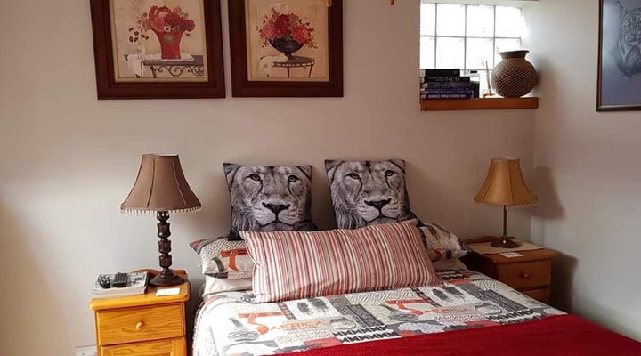 Wild Catz Cottage Piet Retief