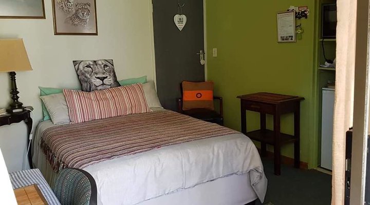 Wild Catz Cottage Piet Retief