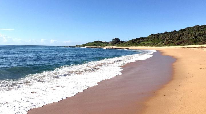 COCOtree Beach House