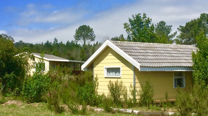 Tree Spirit Cottages