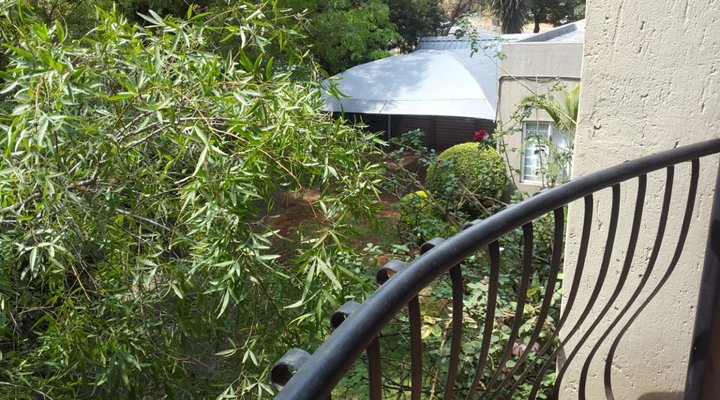 Irie's Place