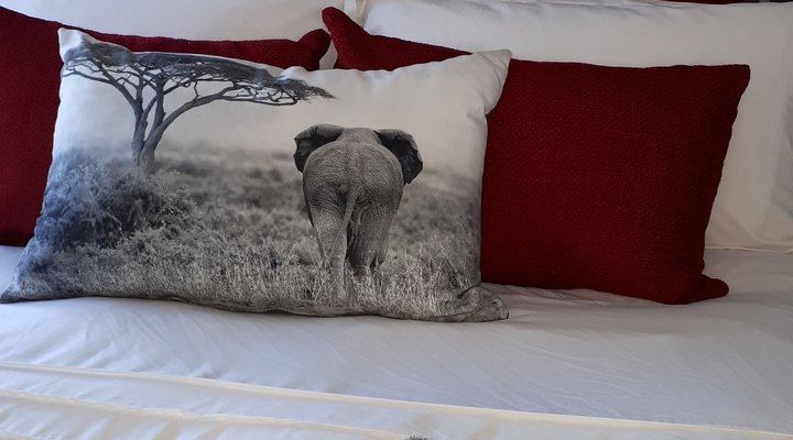 Elephant Trailer Tiny House