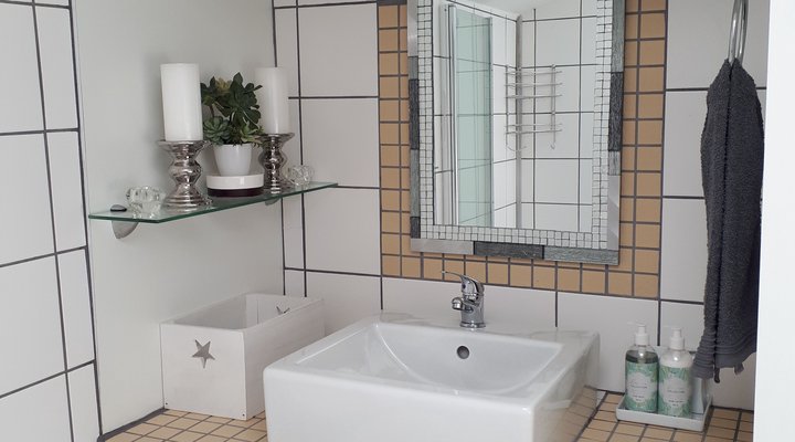 Elephant Trailer Tiny House