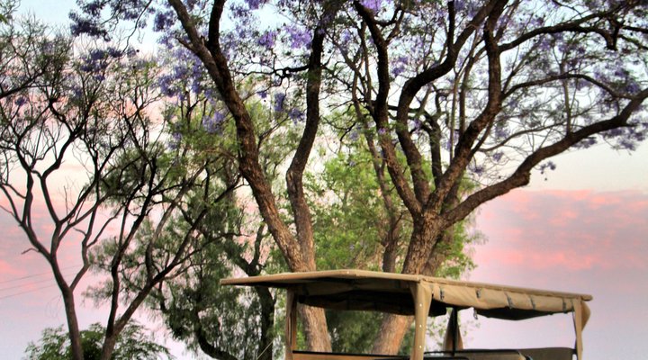 De Kleine Serengeti Game Lodge