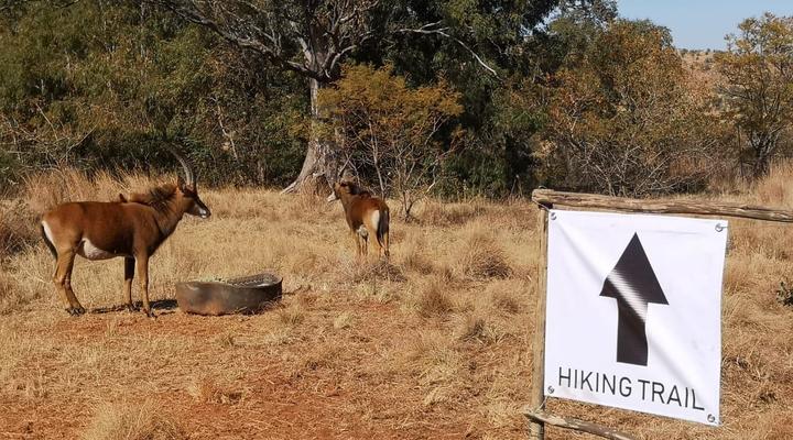 Sable Hiking & Accommodation