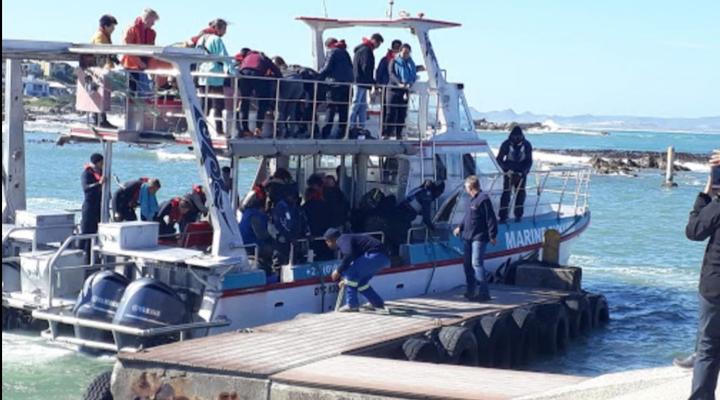 Zeezicht Ocean-front Guest Suite