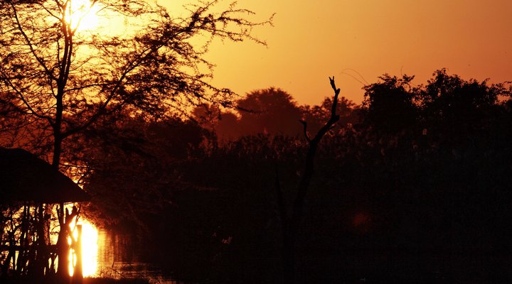 Hippo’s Haven – Hans Merensky