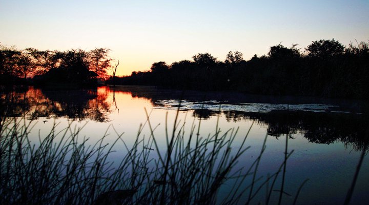 Hippo’s Haven – Hans Merensky