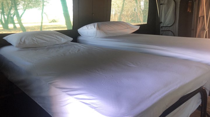 Sibani Urban Safaris