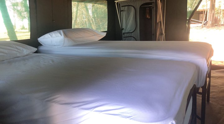 Sibani Urban Safaris