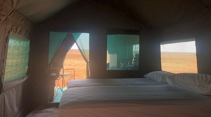 Sibani Urban Safaris